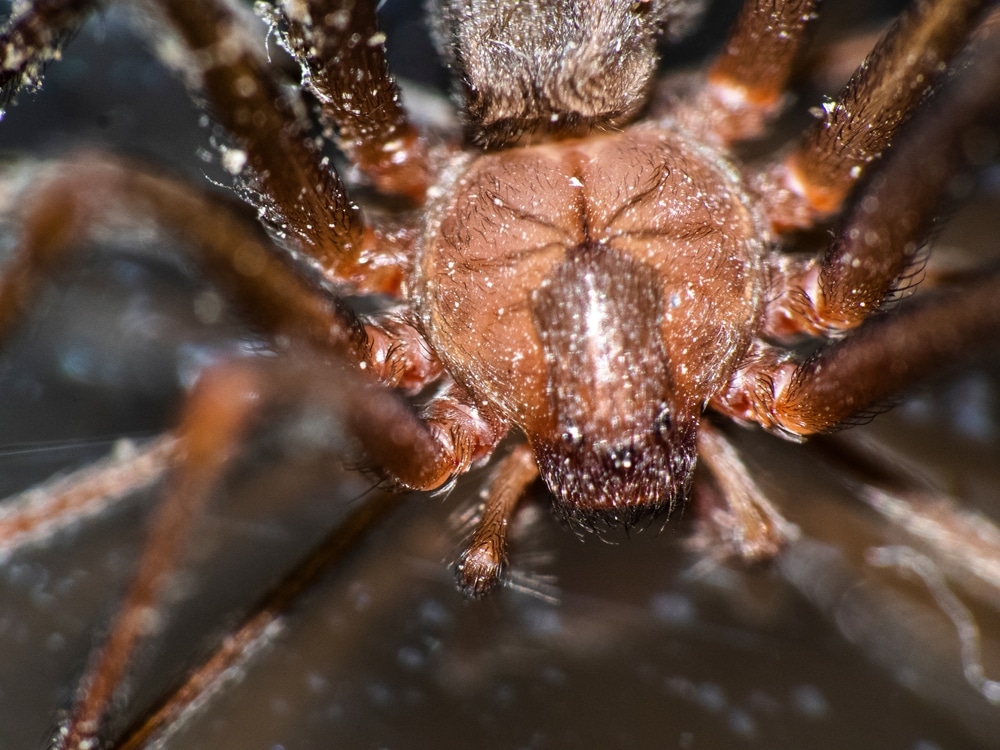 Mütəxəssisləri Şoka Salan Tapıntı