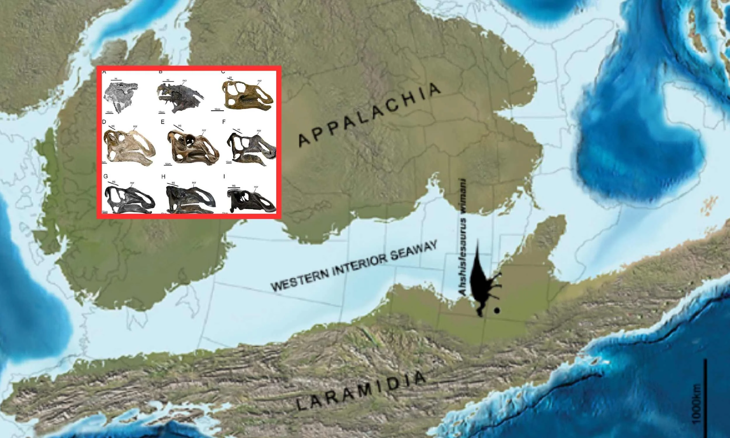 Nyu Meksikoda nəhəng ördəkburunlu dinozavr kəşfi