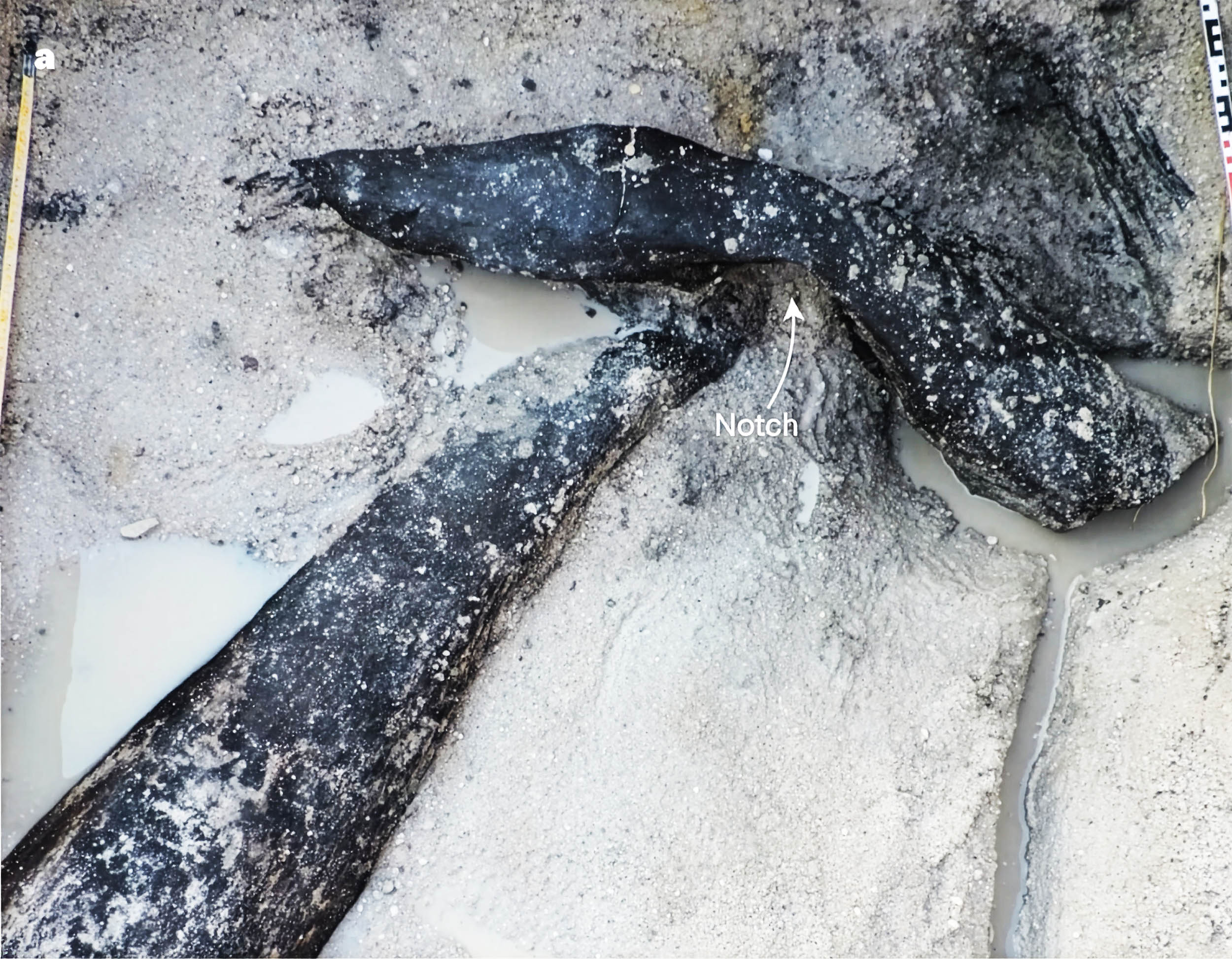 Homo sapiens-dən 200 min il qədim taxta qurğu aşkarlandı