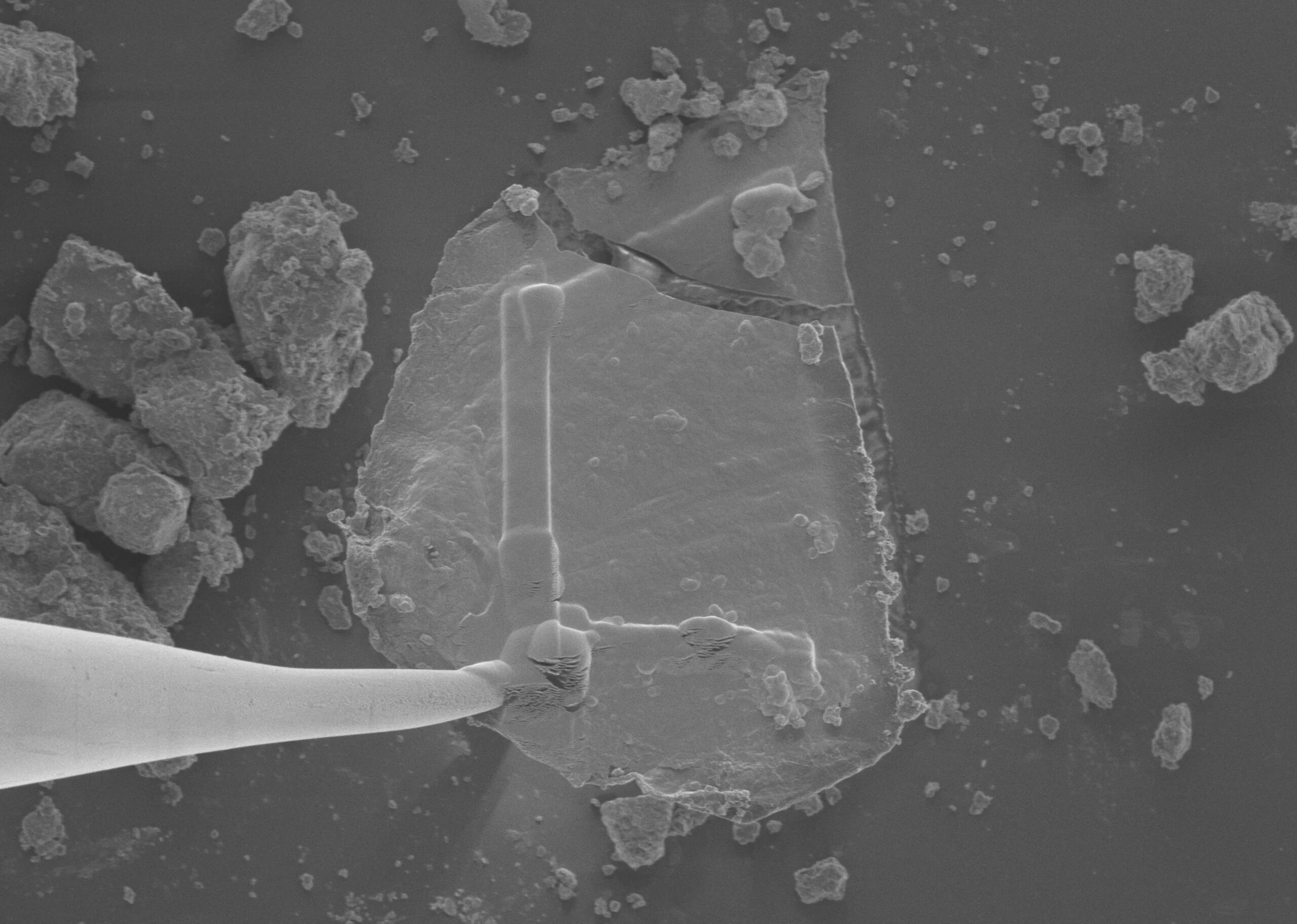 NASA-nın Bennu asteroidi nümunələrində şəkər, qətran və ulduz tozu aşkarlanıb