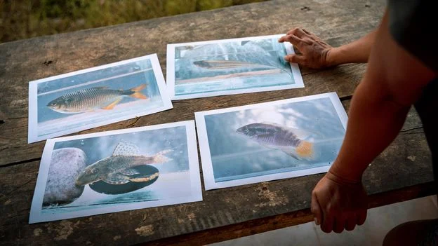 Uzaq və təhlükəli Amazon sirlərini ifşa edir