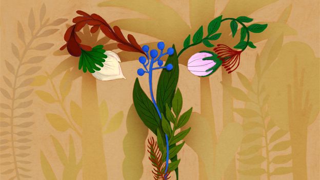 Vaginadakı bakteriyaların sağlamlığa faydaları