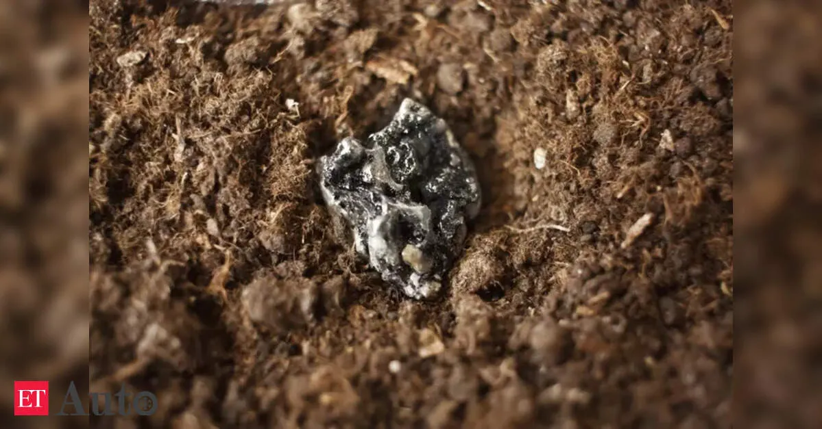 Hindistan nadir torpaq metalları üçün yeni mənbələr axtarır