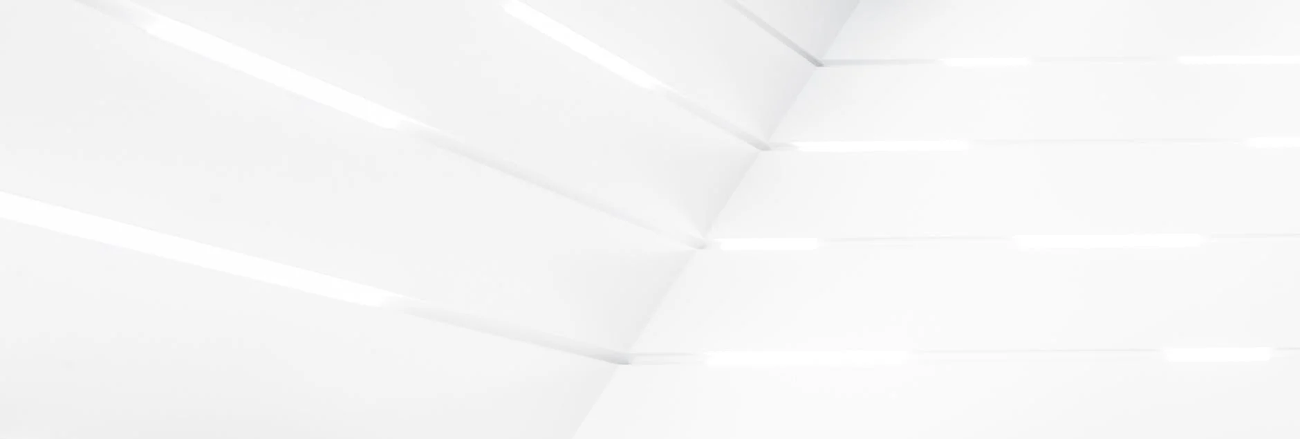 Fridrix Merz ABŞ-ın Rusiyaya tətbiq etdiyi sanksiyaları yüngülləşdirməsini kəskin pislədi