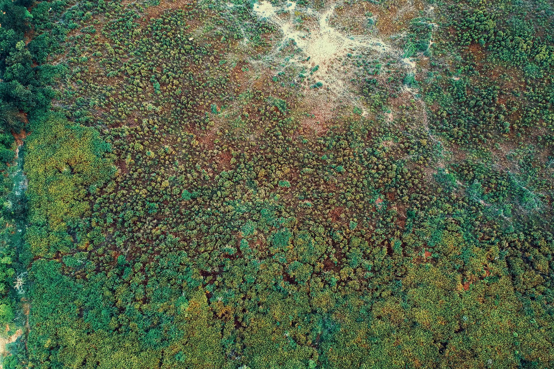 Hörmüz Boğazındakı hərbi missiyaya qatılan Almaniya İranla müharibəyə sürüklənmə təhlükəsi ilə üz-üzədirmi?