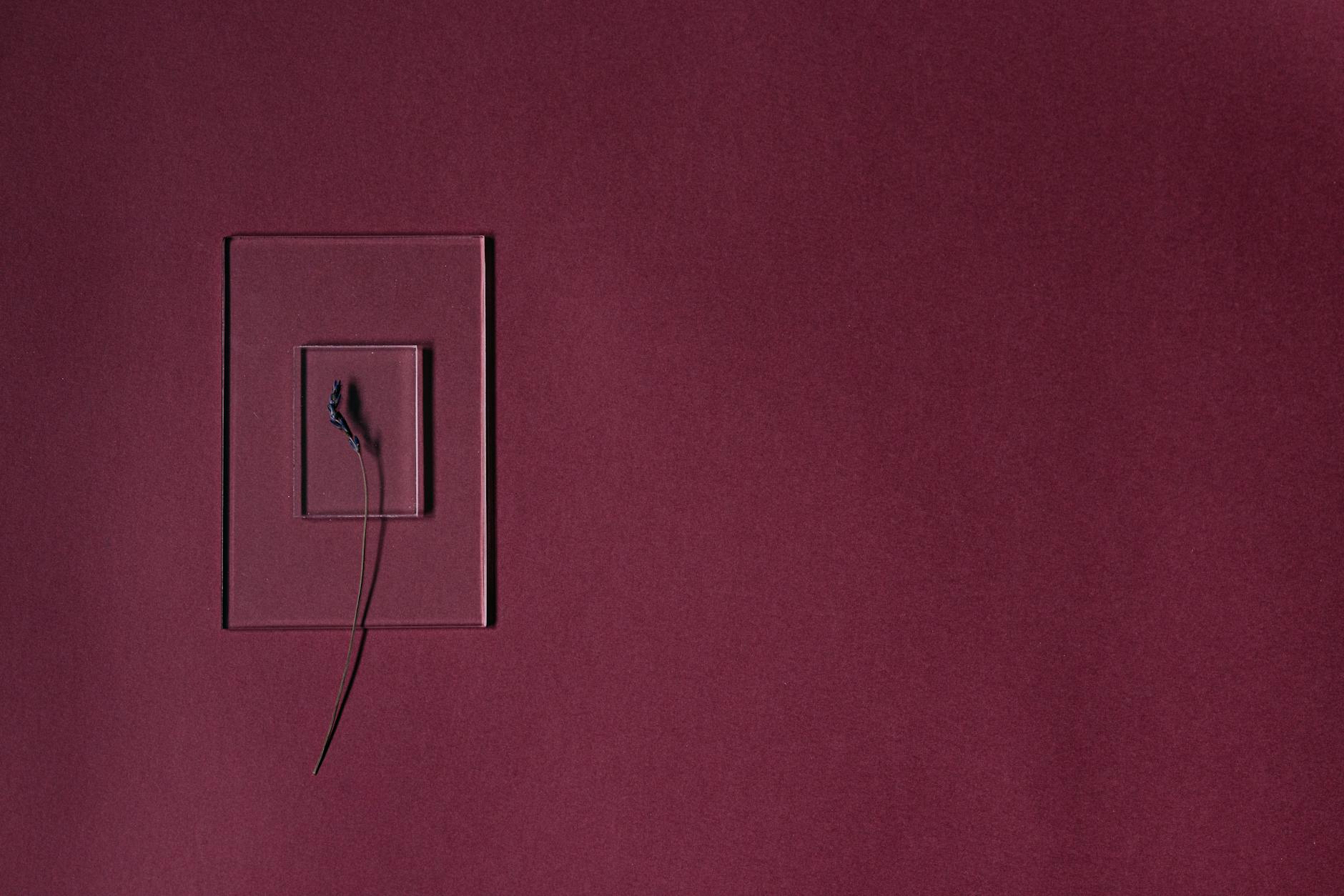 Koventridəki cəsədin sirri çözülür: Polis döymə xüsusiyyətlərini açıqladı