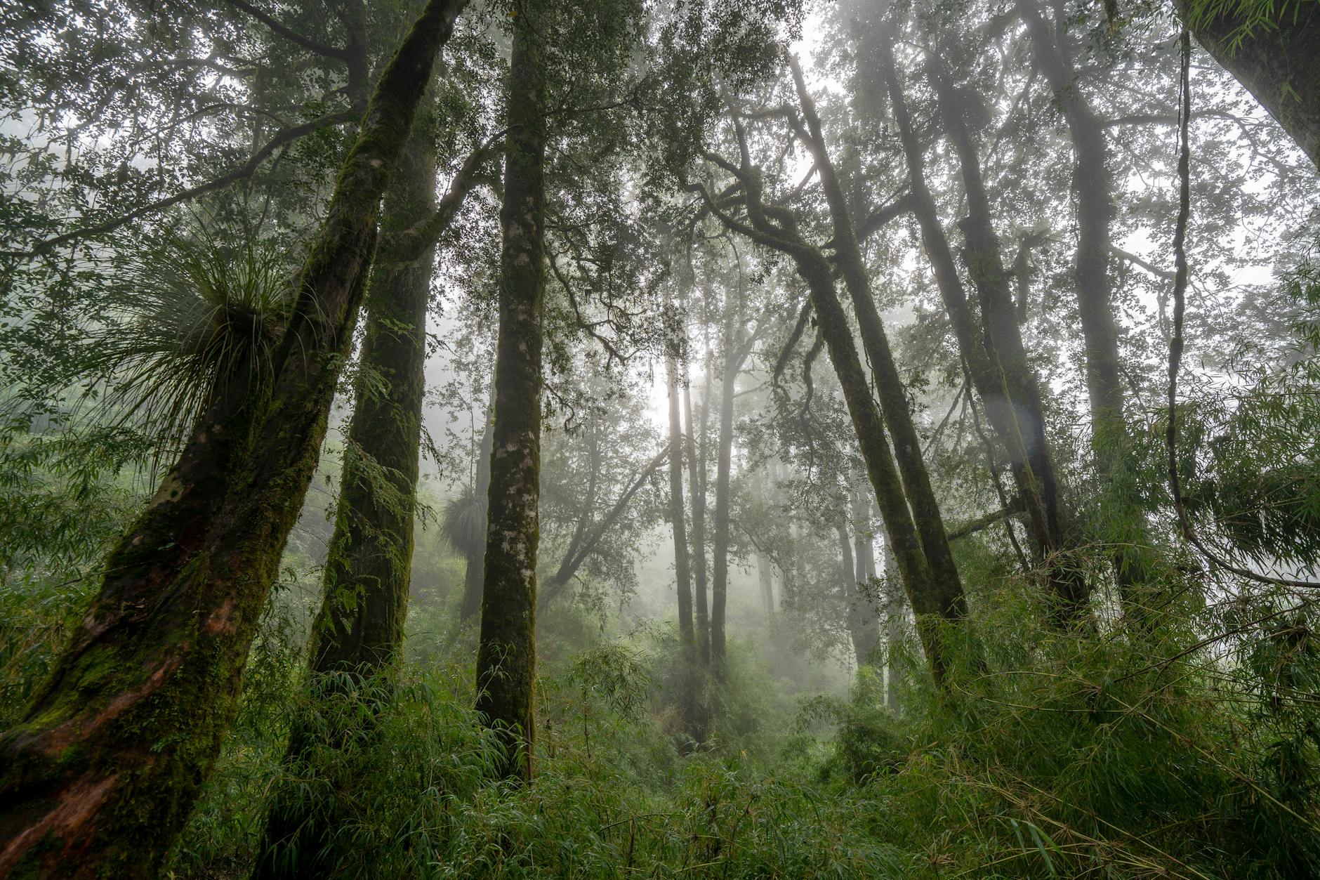 “Elektronikin macəraları” filmindən tanınan aktyor Vasili Skromnı dünyasını dəyişib