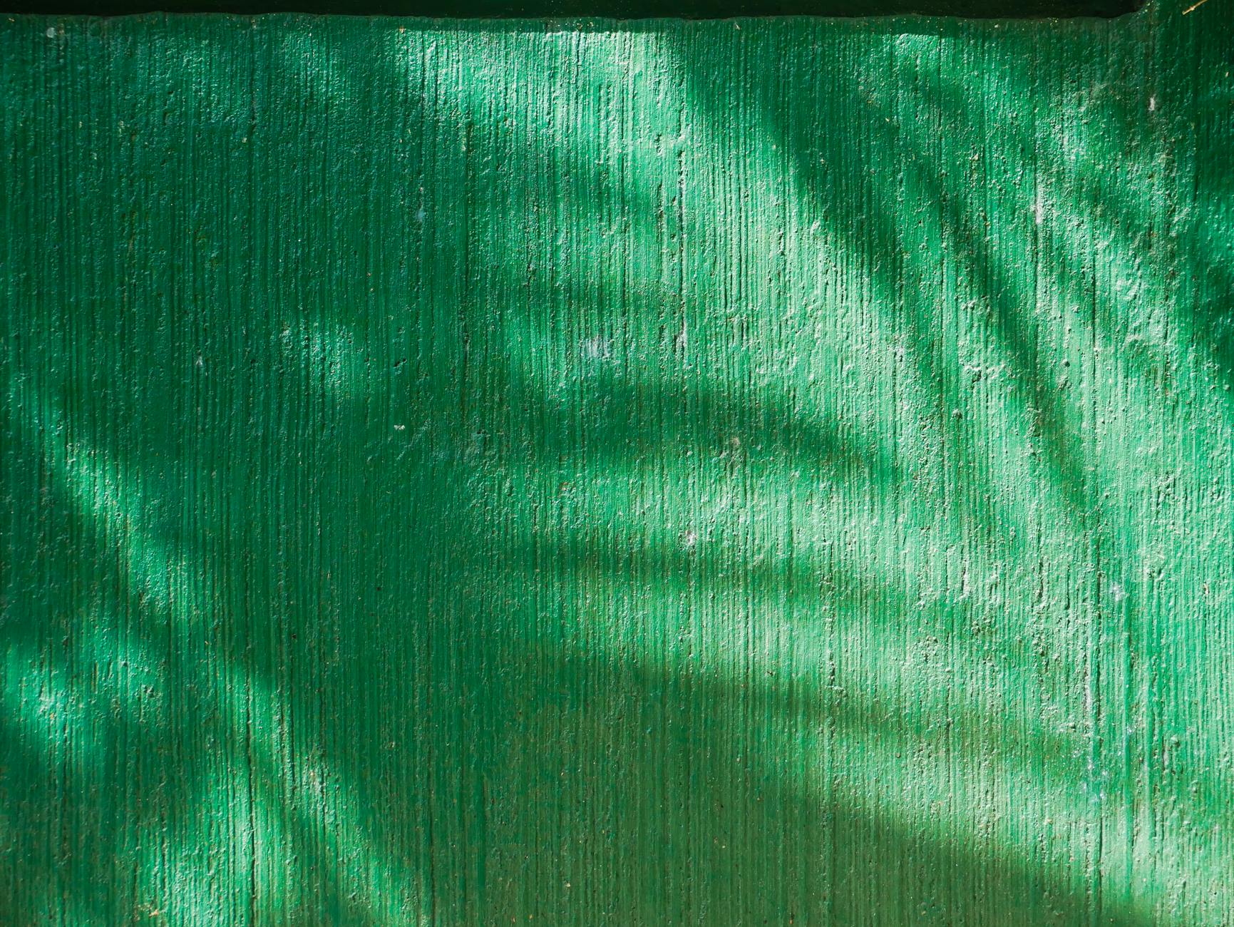 Münhen bələdiyyə seçkilərində Yaşıllar Şəhər Şurasında aparıcı qüvvəyə çevrildi.