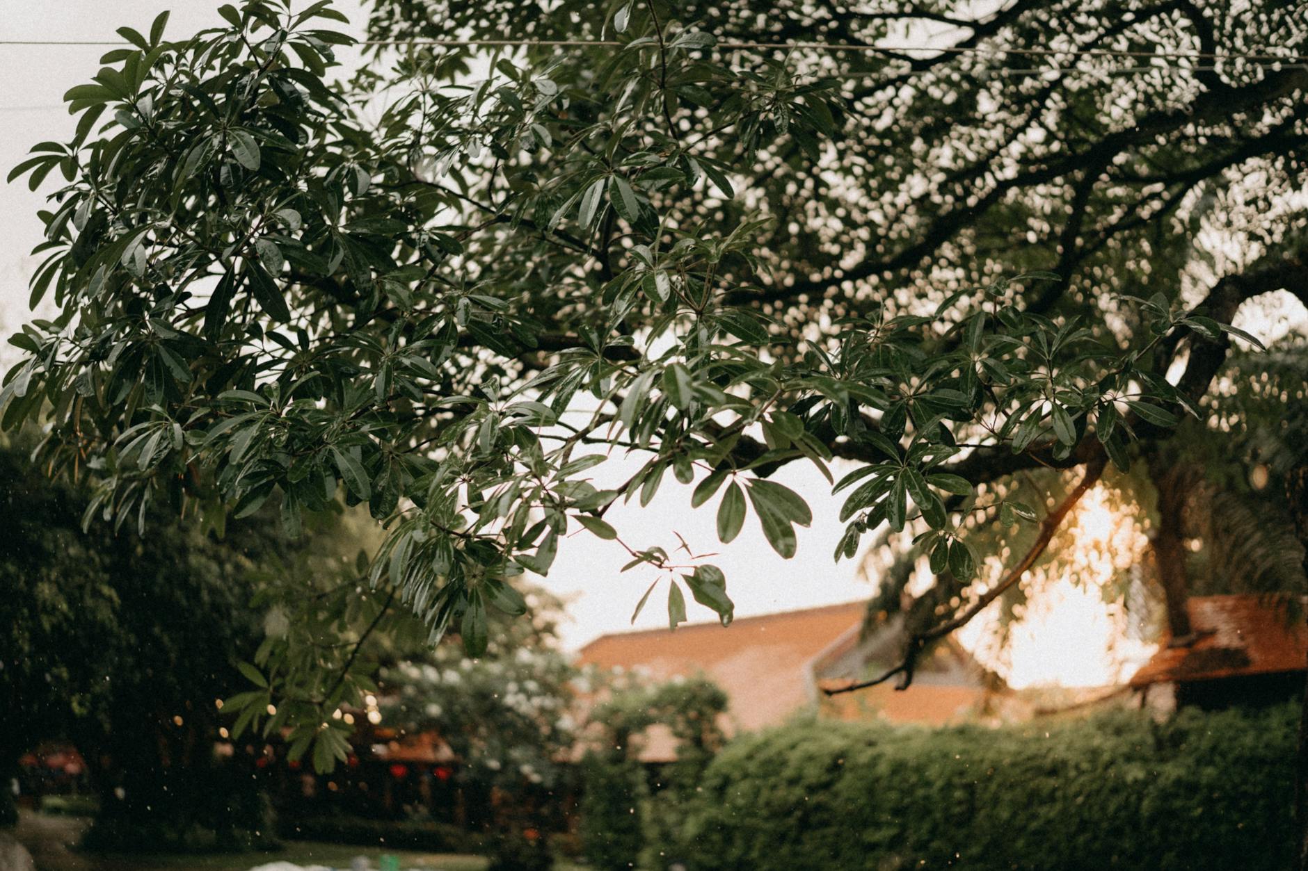 İstanbulda 300 illik Tophane bulağına od vurulub: Şübhəli şəxs məhkəməyə təhvil verilib