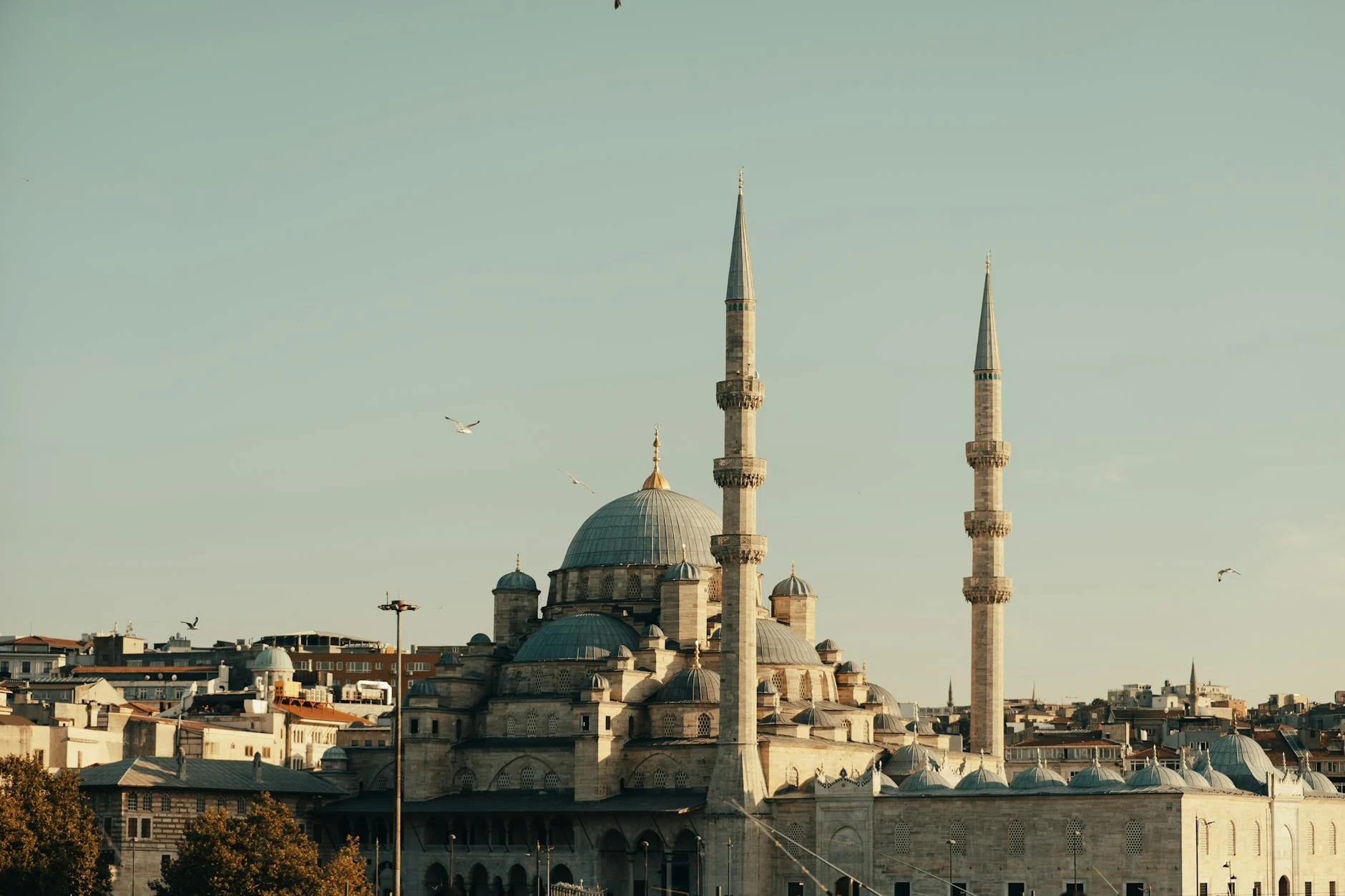 Ölüm xəbərləri yayılan Harika Avcı möhtəşəm qayıdış etdi: Son görünüşü hər kəsi heyrətləndirdi!