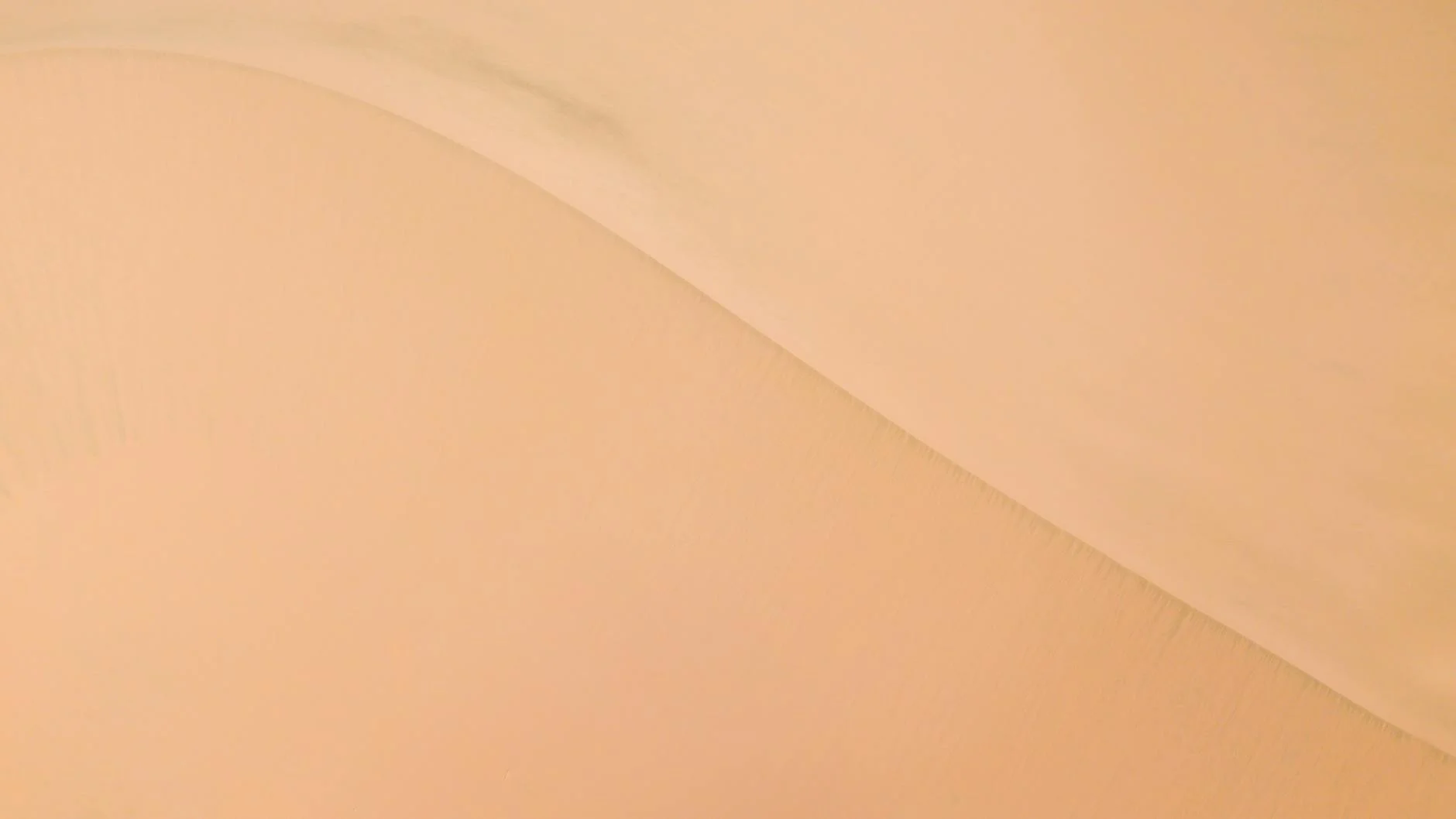 Bağırsaqlar Altsheymerin açarı ola bilər: Yeni elmi tapıntı