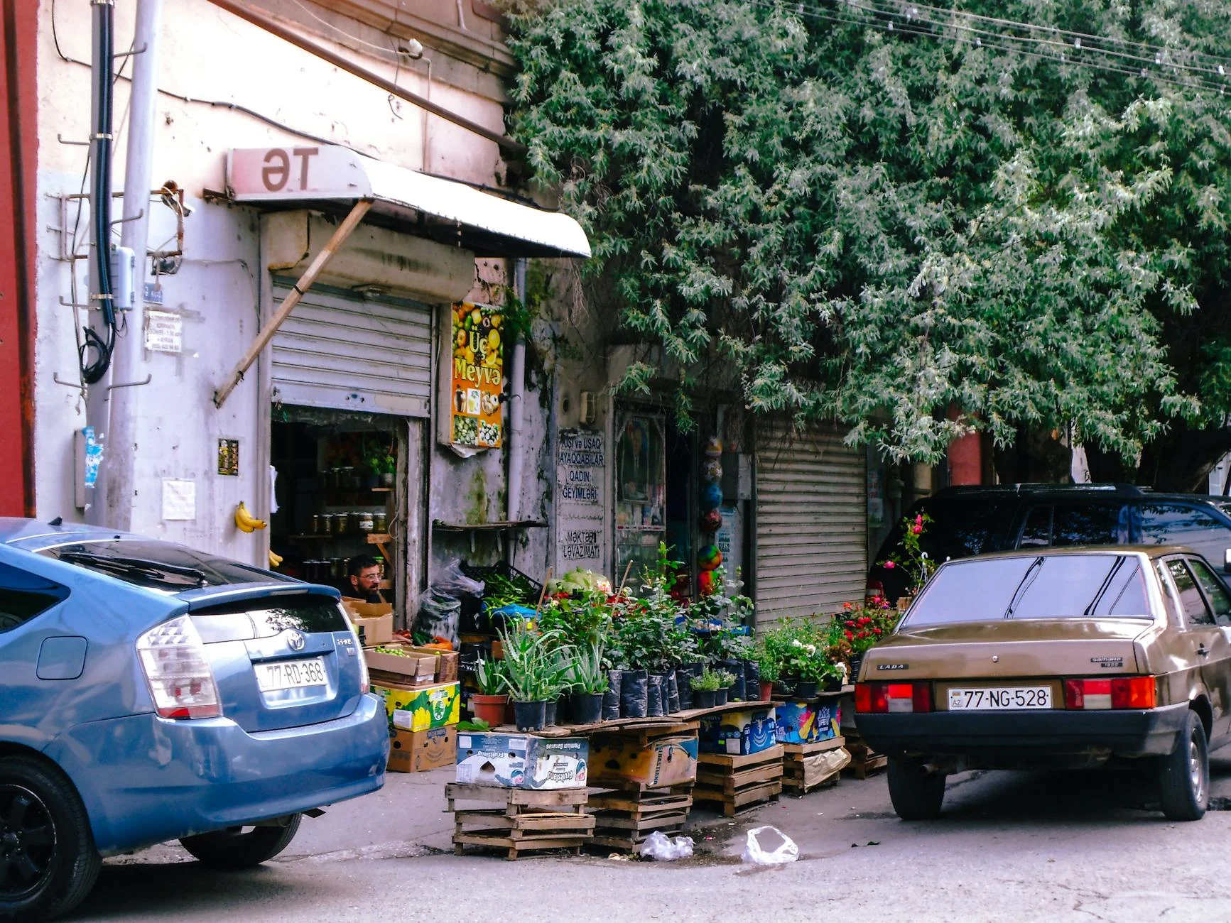 Rusiyanın avtomobil sektorunda Lada böhranla üzləşir, yapon avtomobilləri Çin rəqiblərini üstələyir.