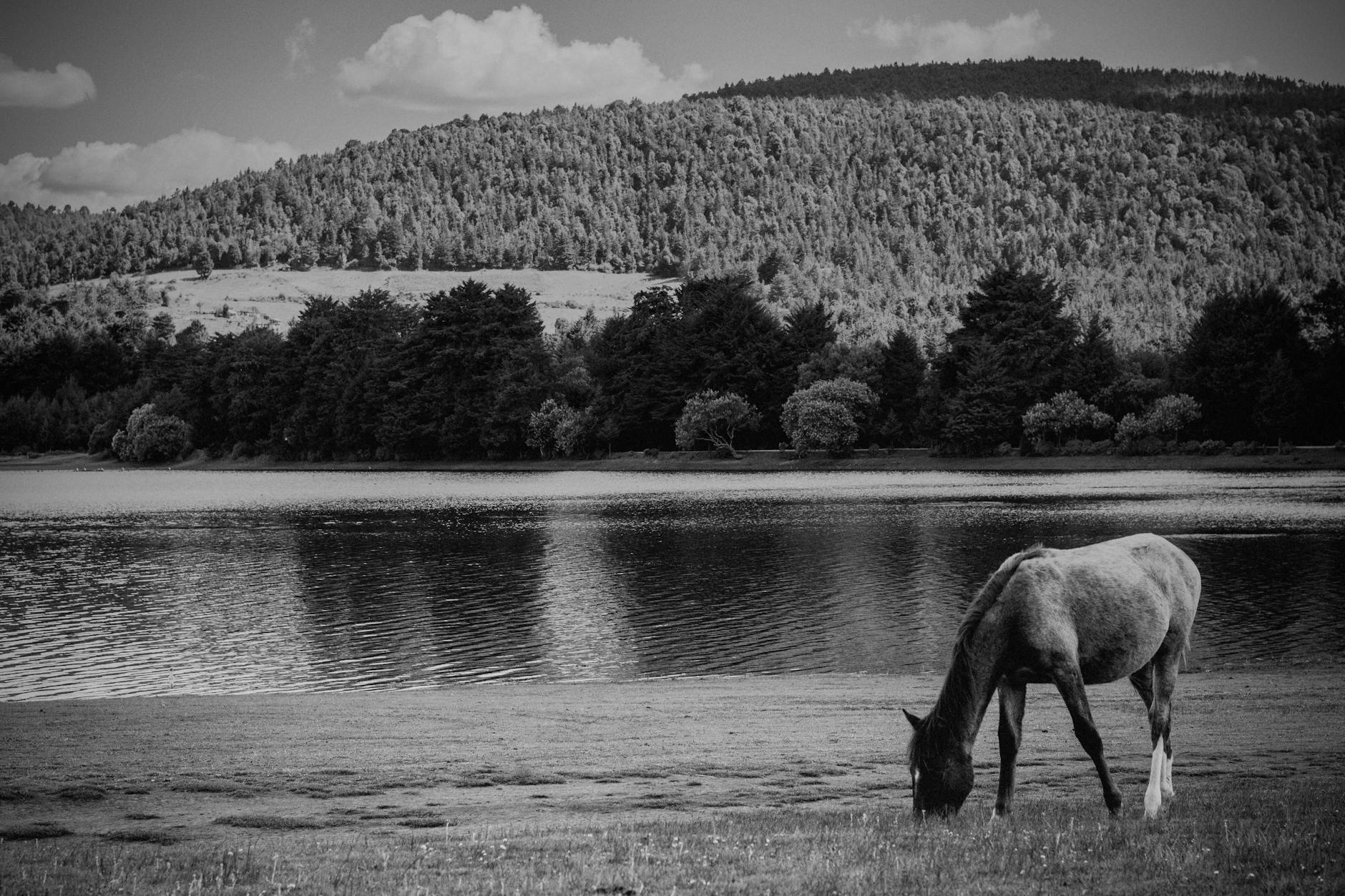 Marta Matuteyə məxsus “Mən sevgidən ölməyəcəyəm” filmi Malaqa Festivalının Qızıl Biznaqa mükafatına layiq görüldü