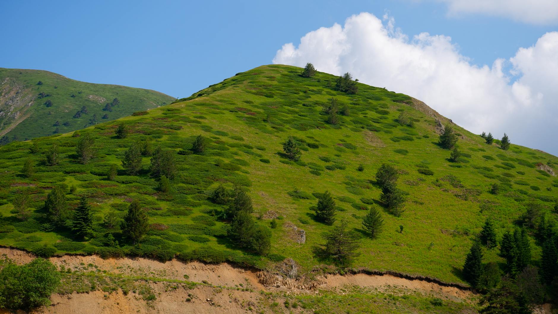Özgür Özəlin Bolu mitinqində marketlər tənqid edildi, A101-dən cavab gecikmədi