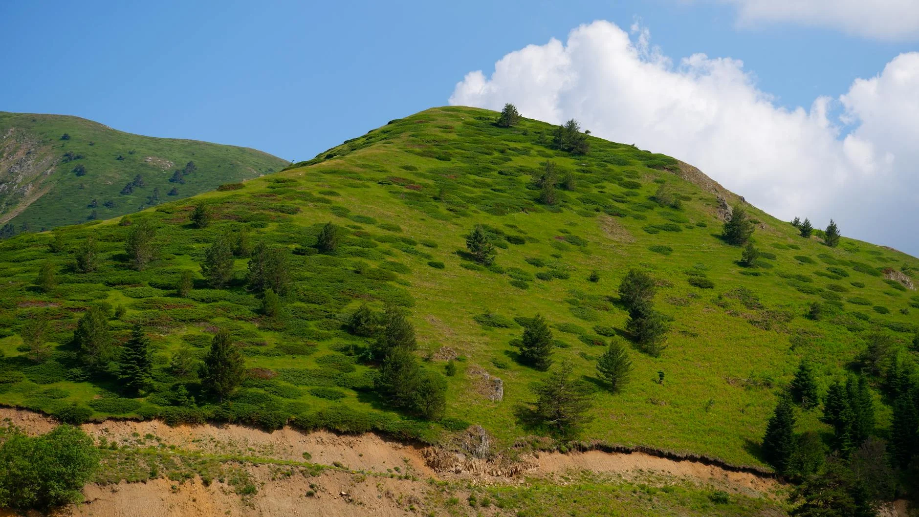 Özgür Özəlin Bolu mitinqində marketlər tənqid edildi, A101-dən cavab gecikmədi