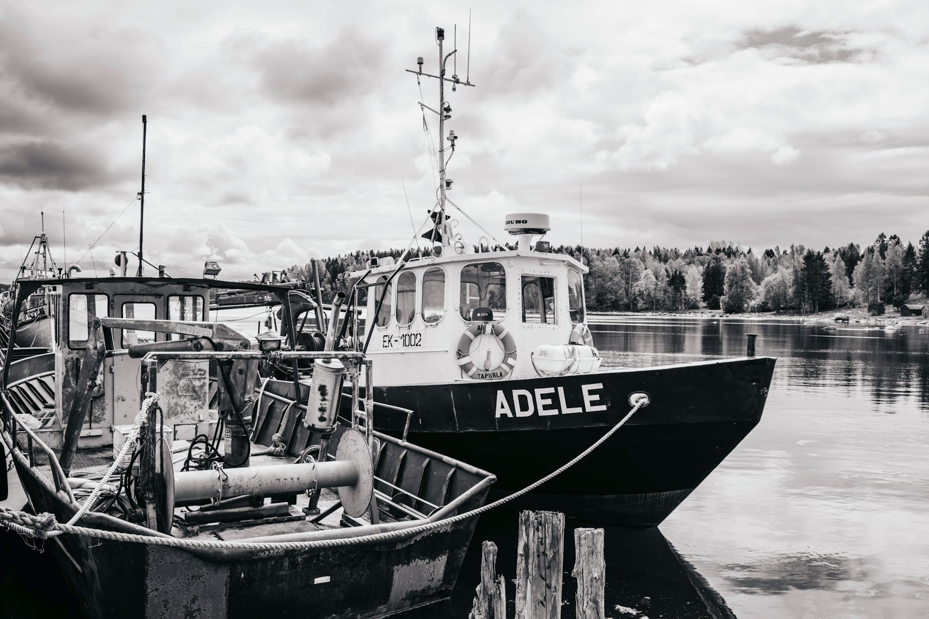 Adele Neuhauser 'Makellos'la stereotipləri alt-üst edir: Cəsarətli bir yanaşma