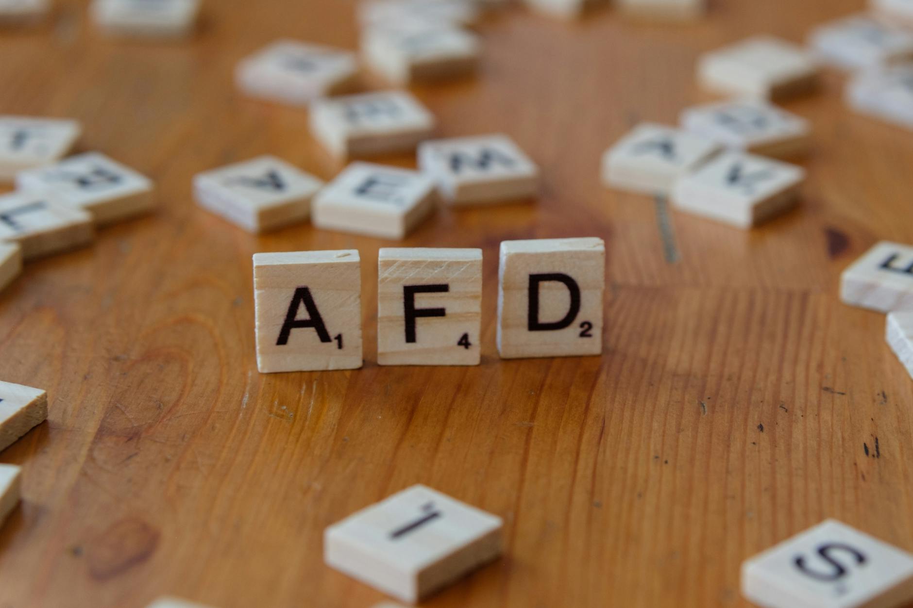 Avropa Parlamentində çaxnaşma: EVP-nin AfD ilə əməkdaşlıq iddiaları siyasi mübahisələri alovlandırır