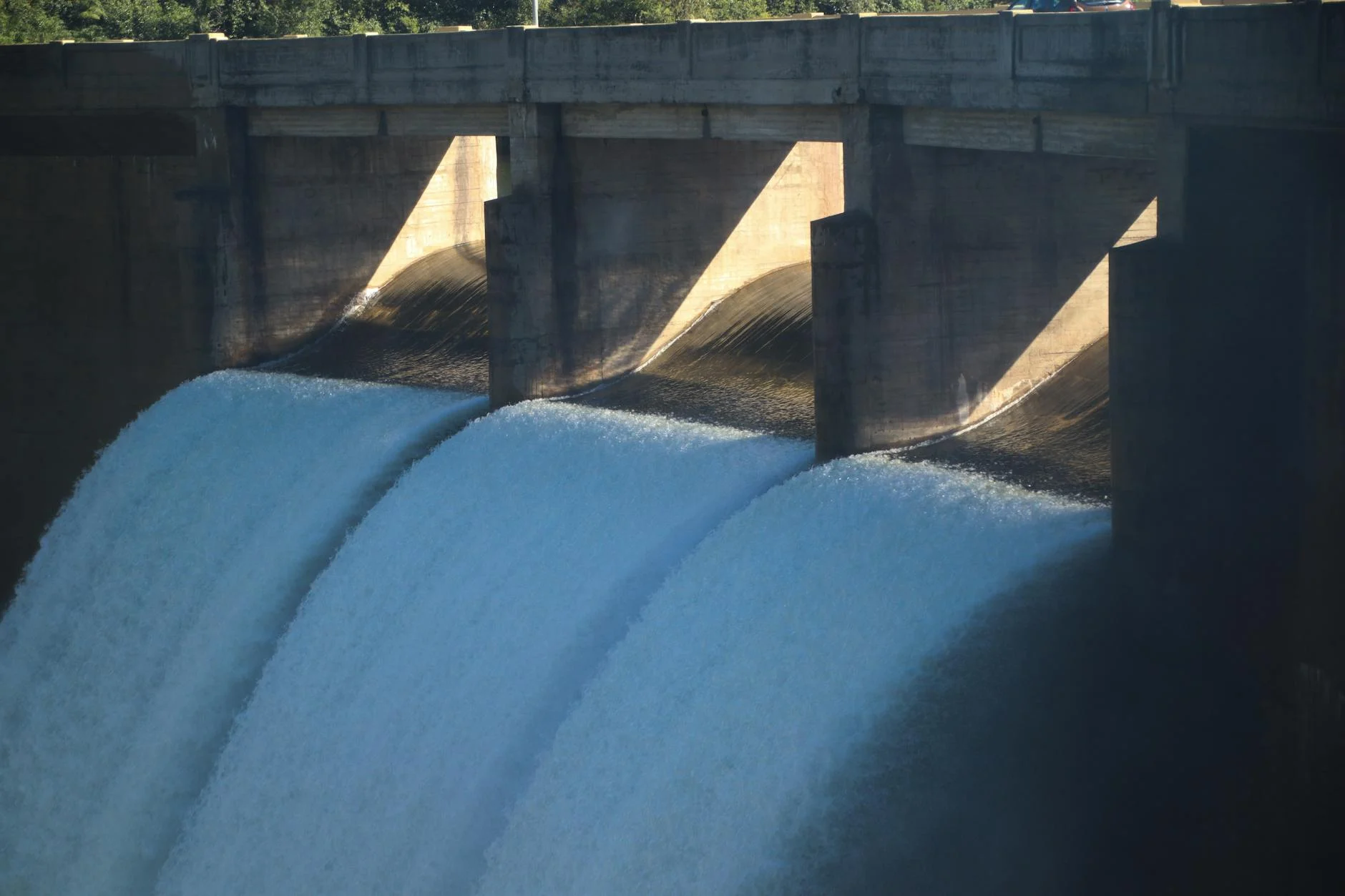 San Roquedə UCA kursları müxtəlif proqramlarla start götürdü: Loquillo konserti, immiqrant uşaqlar üçün tədbirlər və kulinariya şouları.