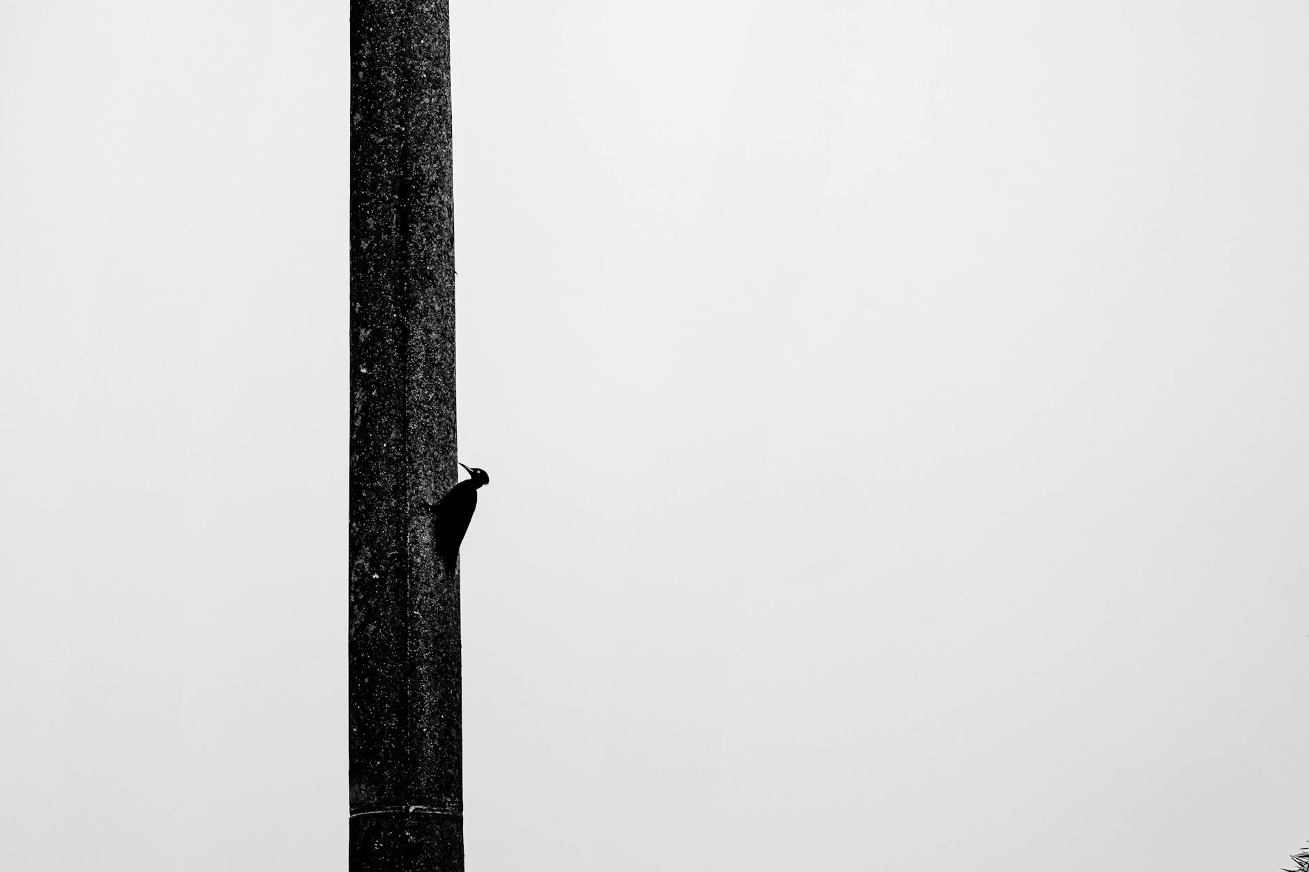 Müctəba Xamenei ilk dəfə danışdı: İran Hörmüz boğazını bağlayacağını bəyan etdi və mübarizəni davam etdirəcək