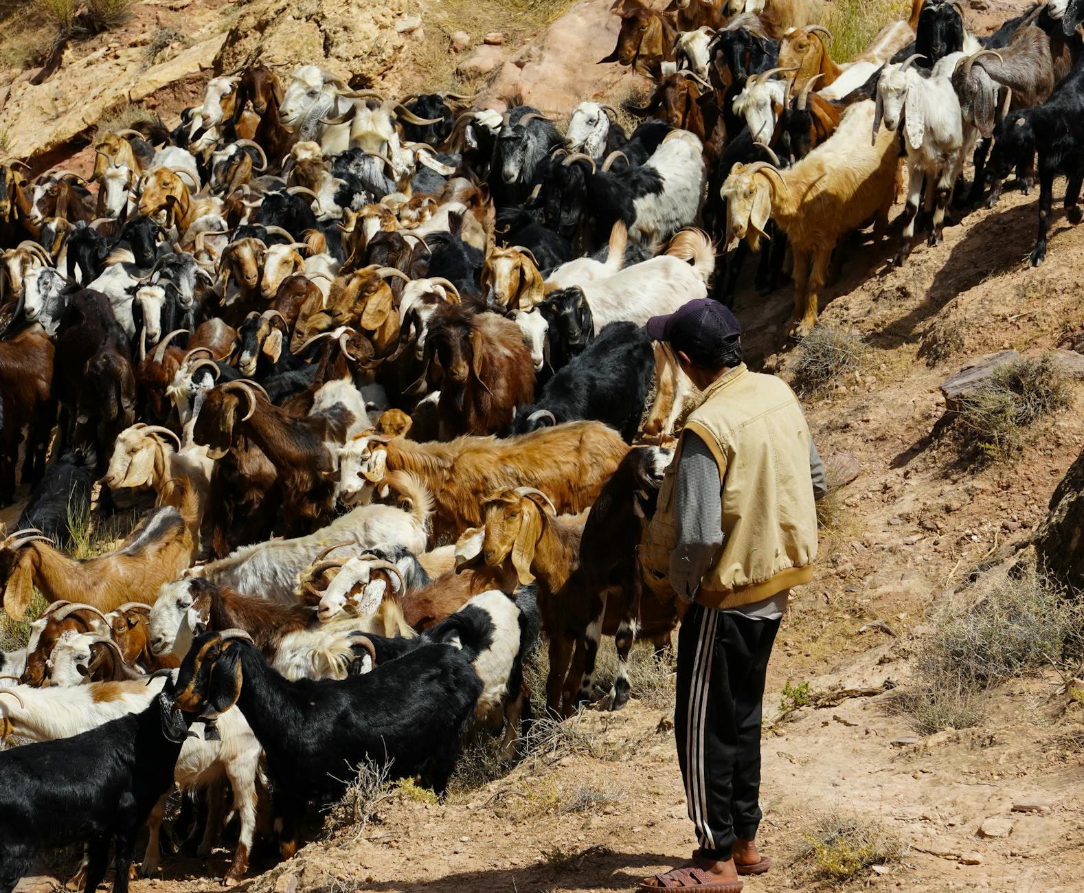 İspaniya Güclü Fırtınalara Hazırlanır: Yağışdan Artıq Təhlükə Var