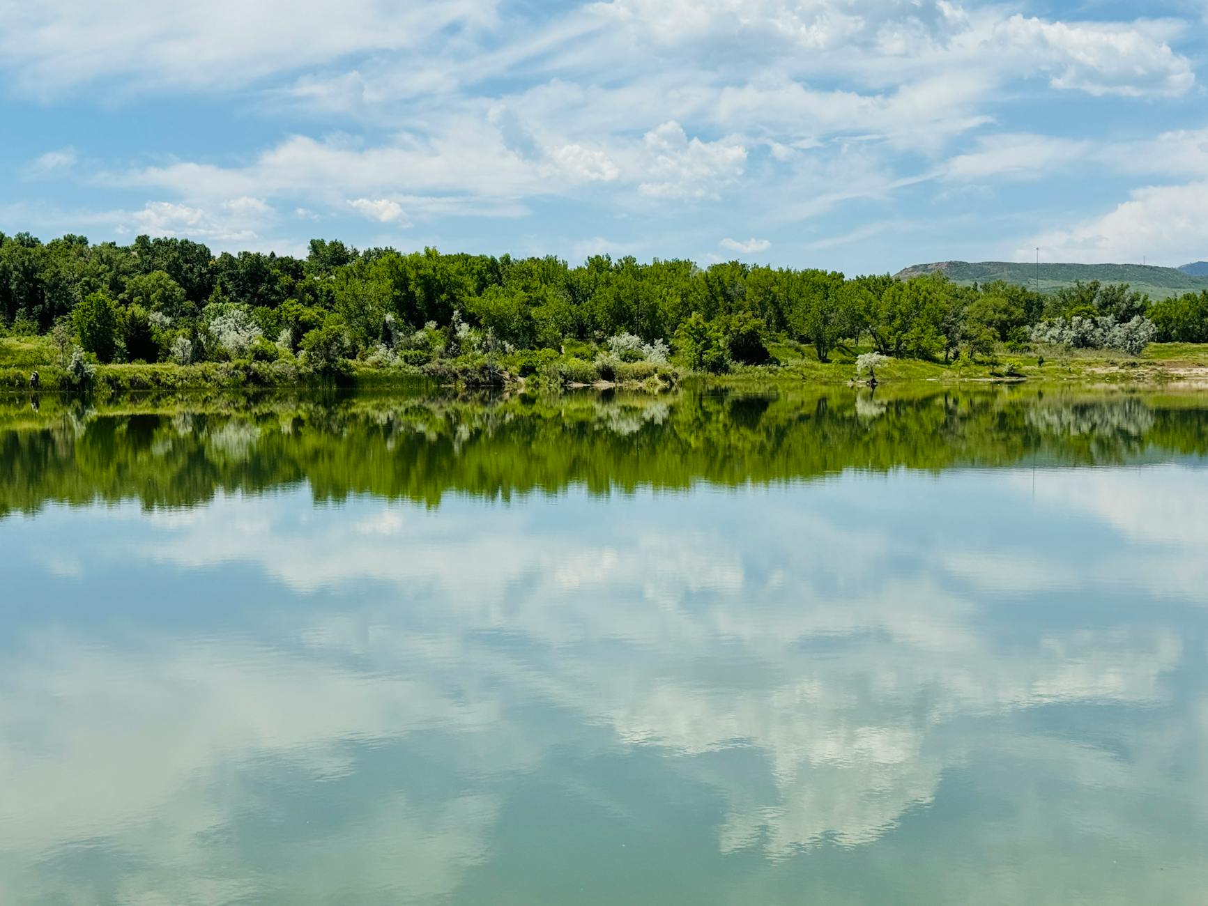 Koloradoda qızılca yayılımı sürətlənir: Arvada idman barı yoluxma mənbəyi kimi şübhə altında
