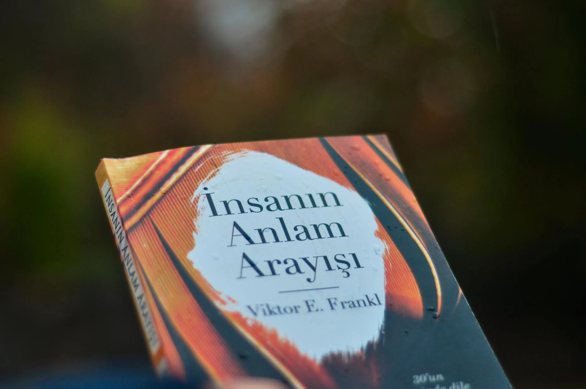 Qeyri-bədii ədəbiyyat satışları viktorina kitabları ilə canlanır: Yeni meyl