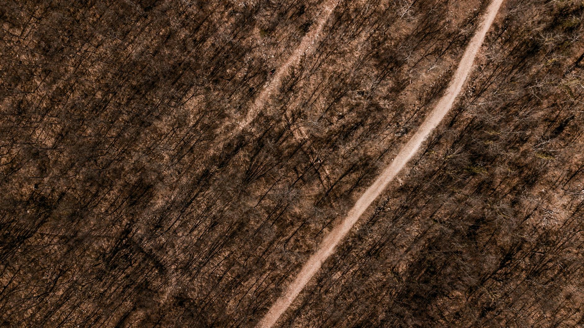 Almaniyada yanacaq qiymətləri yenidən sürətlə bahalaşır: Sürücülər və iqtisadiyyat üçün ciddi sınaq dövrü