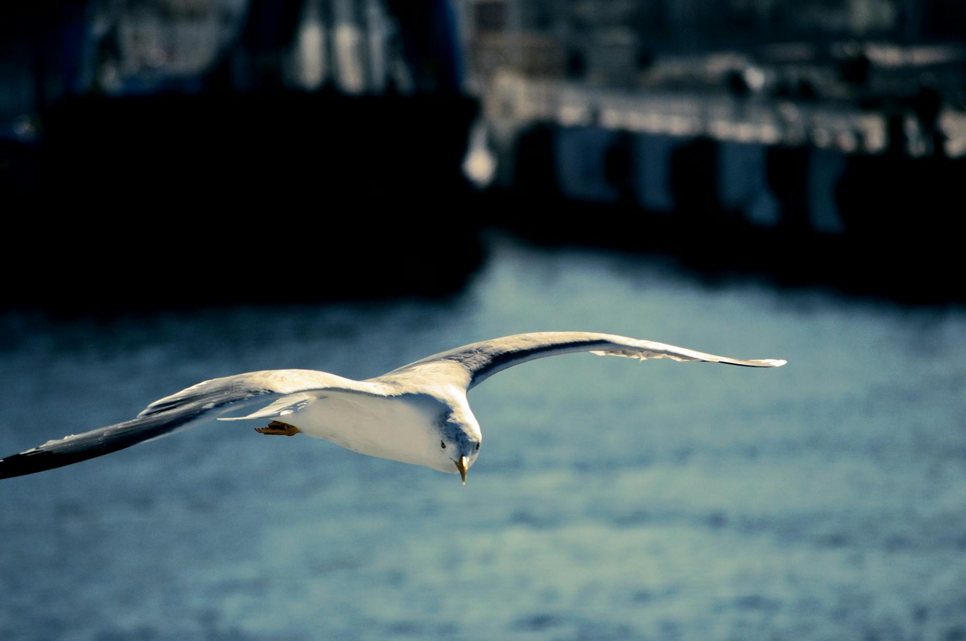 İran müharibəsi riski Dubayı silkələyir: Ən zənginlər 'təhlükəsiz sığınacaq'dan uzaqlaşır