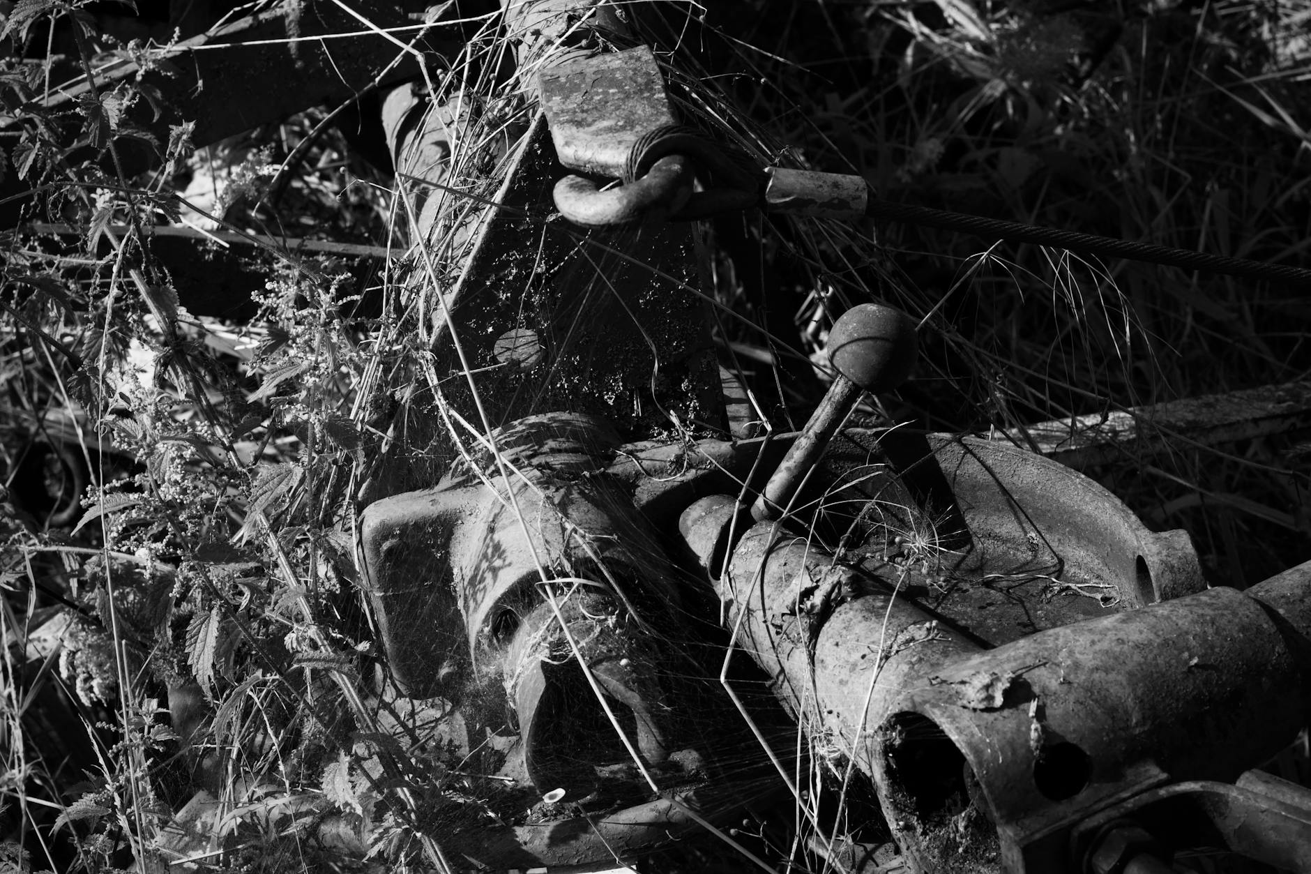 Nyu Yorkda bələdiyyə sədrinin iqamətgahı önündə partlayıcı maddə aşkarlandı: FTB terrorizm araşdırmasına başladı.