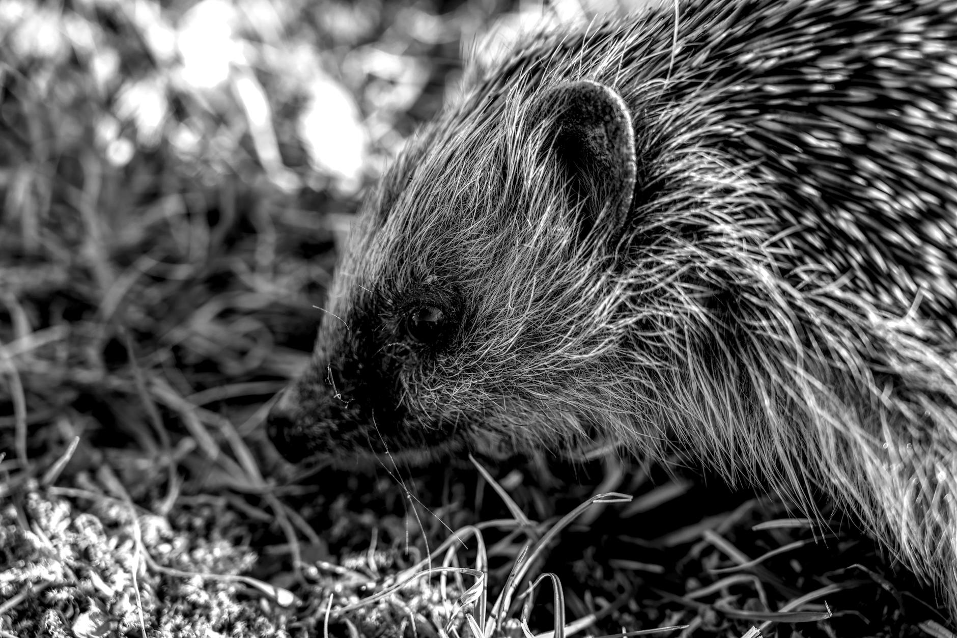 Süni intellekt Val Kilmeri filmdə yenidən canlandırdı: Yeni dövrün başlanğıcı