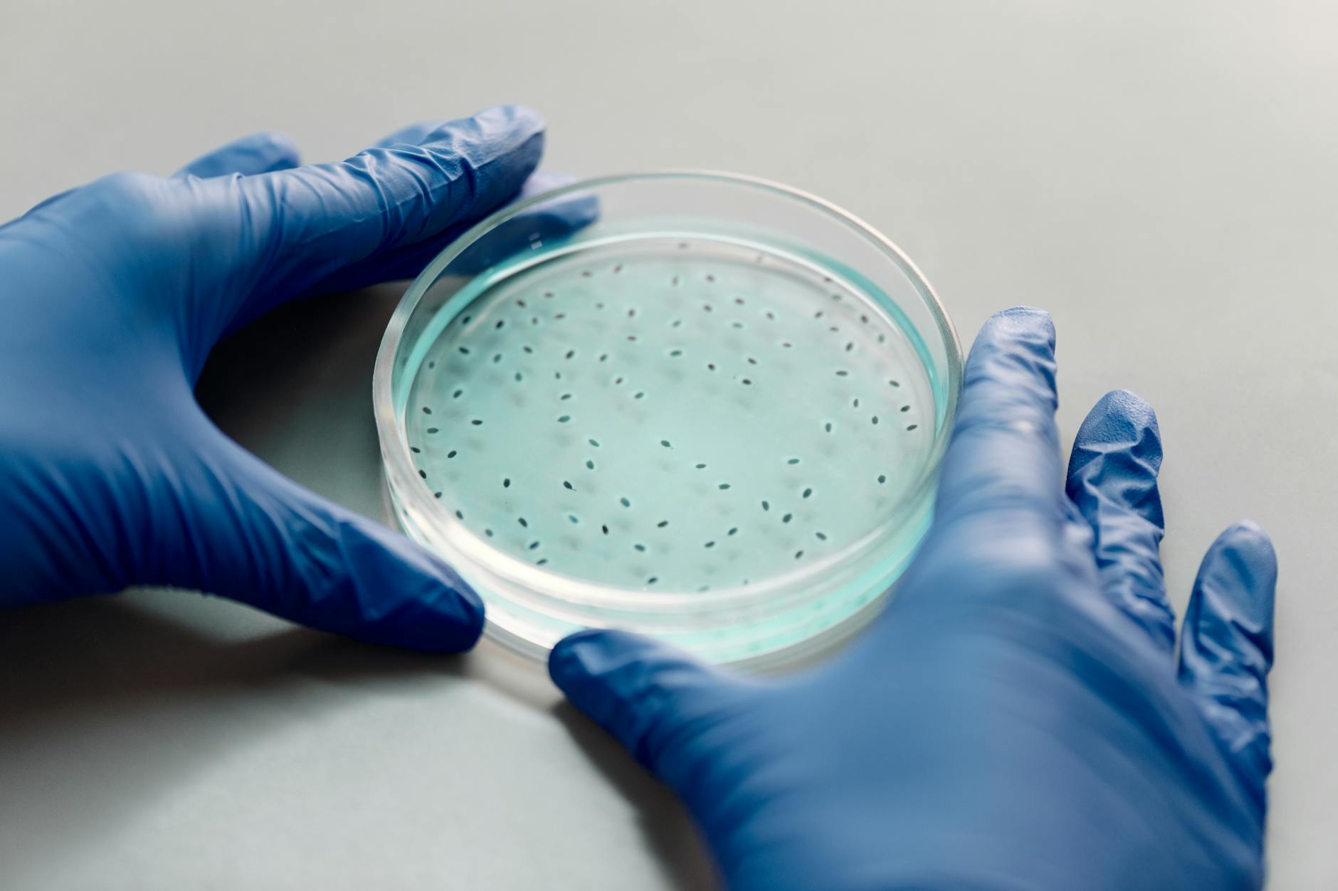 Sibirin yeni, sərfəli üsulu suyun tərkibindəki antibiotikləri aşkar edəcək.