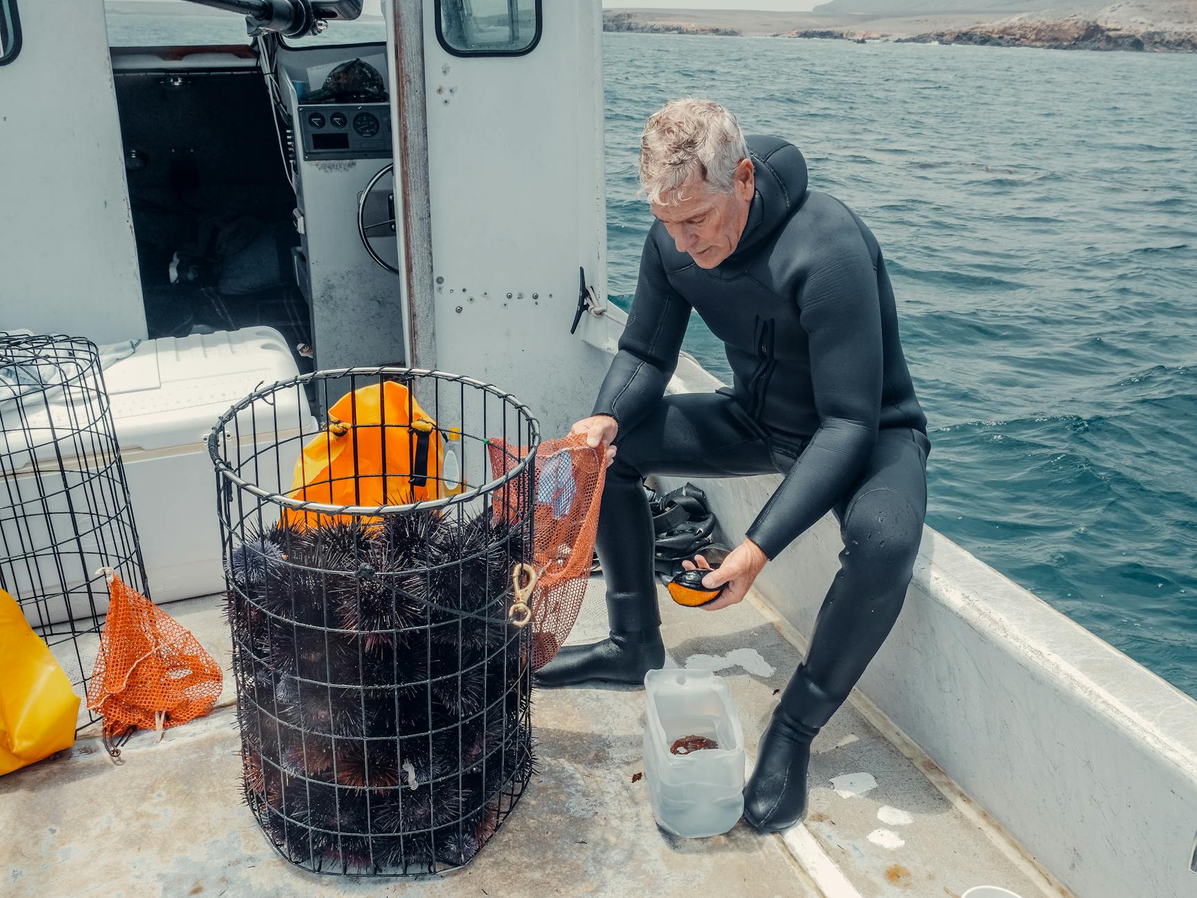 Süni intellekt onlayn məxfiliyi sarsıdır, gizli profillər üzə çıxır.