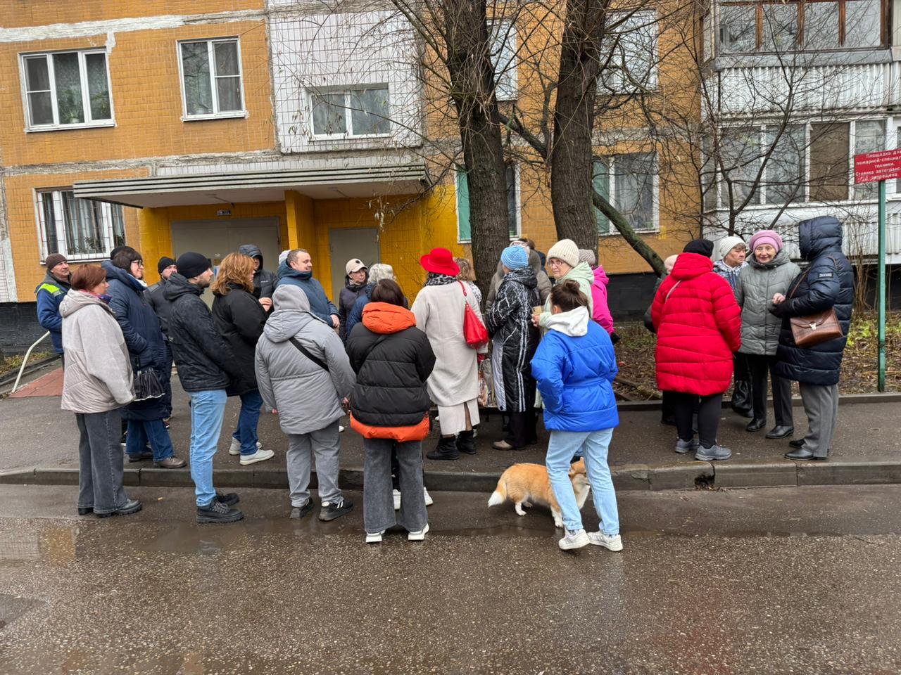 Rayon başçısı əraziyə baxış keçirdi