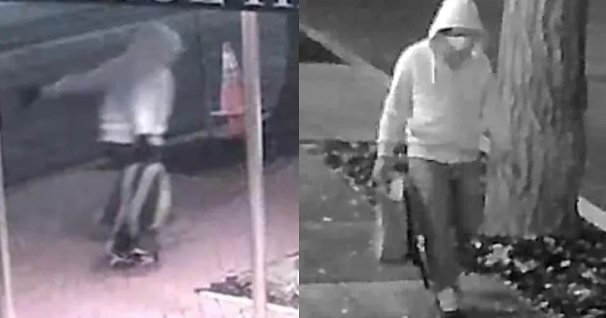 FTB 2021-ci il boru bombası işində şübhəlini həbs etdi