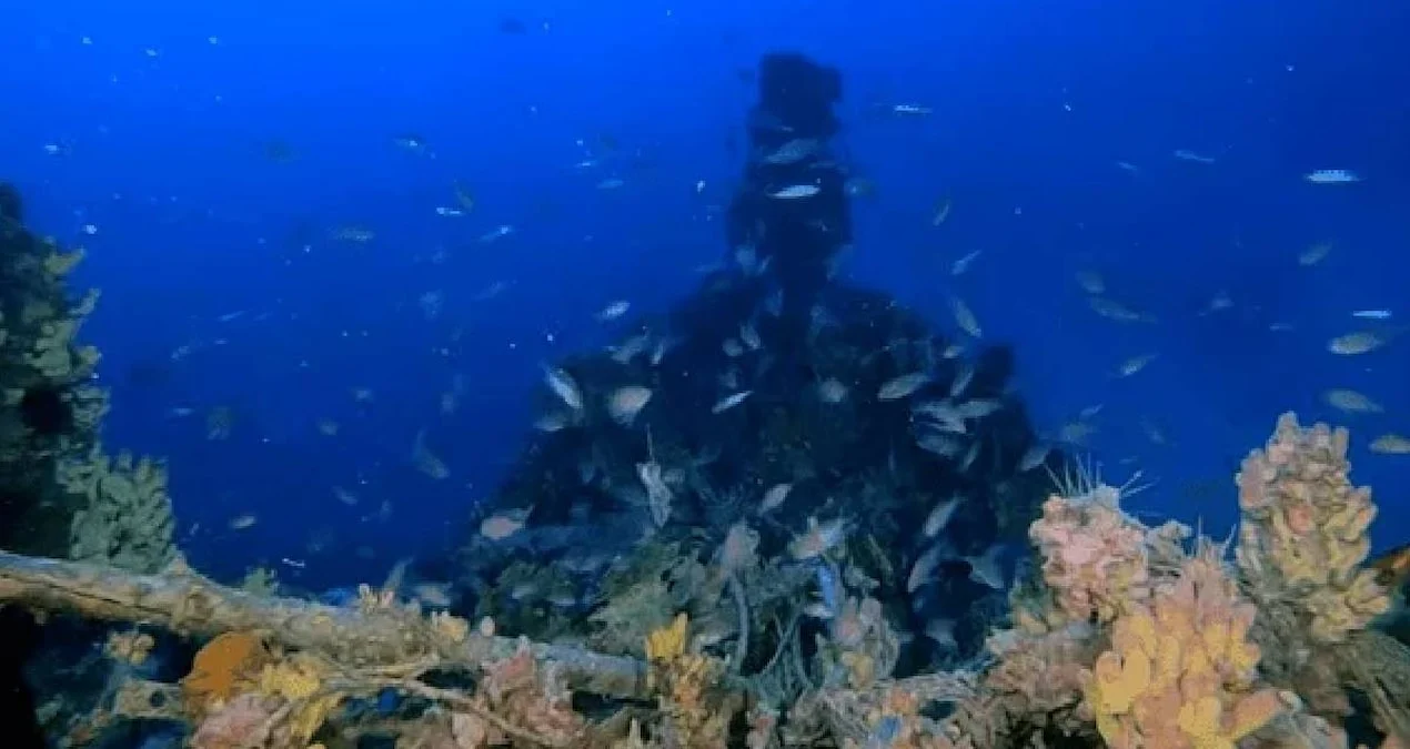 Aralıq dənizinin dərinliklərində İkinci Dünya Müharibəsinə aid nadir təyyarə kəşf edildi