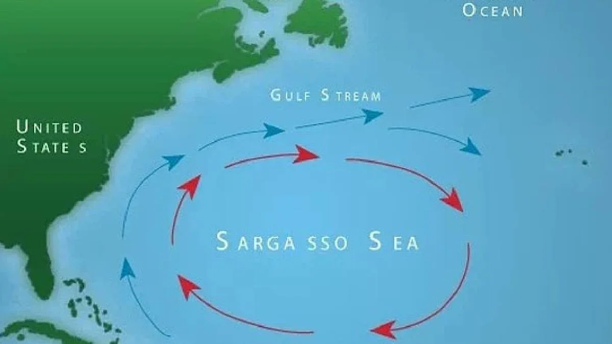 Yeganə sahilsiz dəniz: Heç bir ölkəyə məxsus deyil