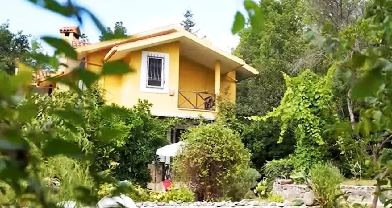 Məşhur Aktyorun Meşə Evi Heyran Edir
