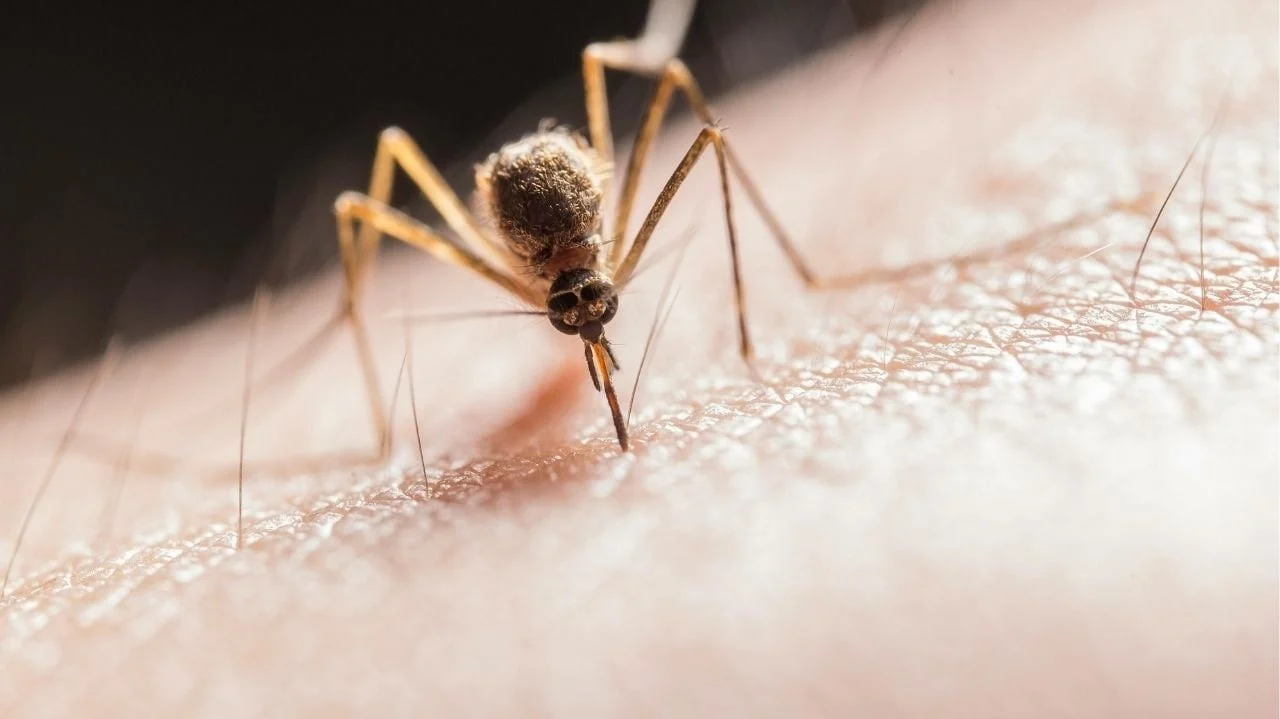 Çində virus çaxnaşması! 2 həftədə minlərlə yoluxma, xəstəxanalar doldu