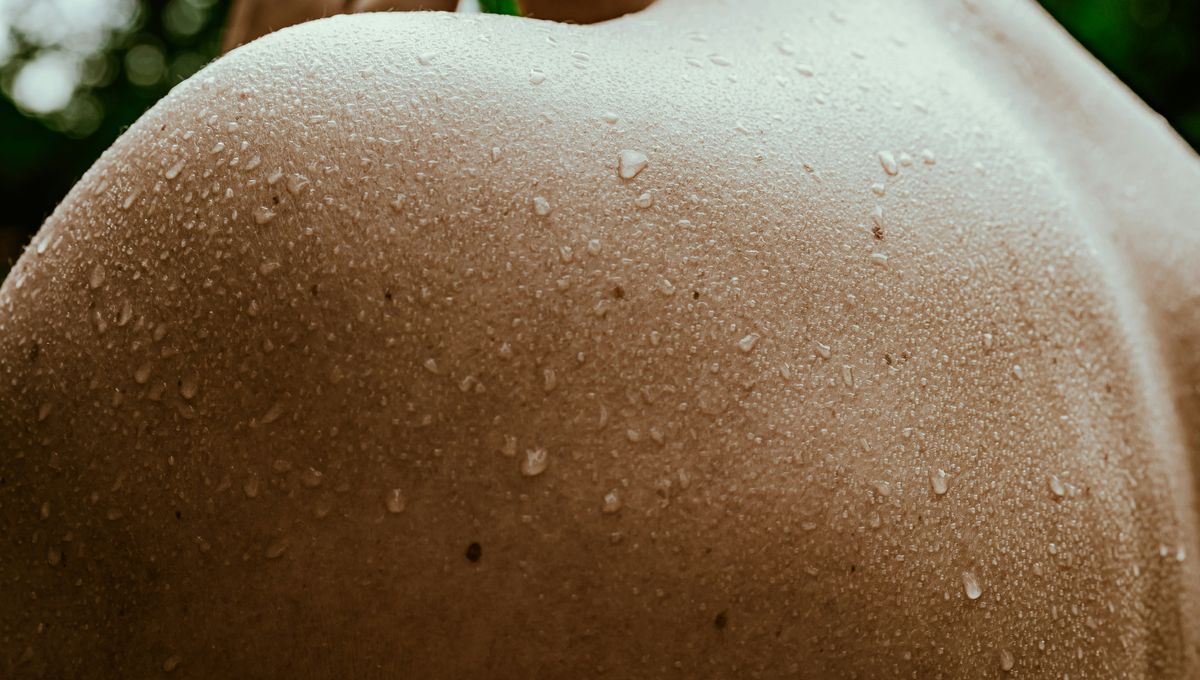 Yüksək testosteronlu kişilərin bədən qoxusu: Dominantlıq əlaməti, cəlbedicilik yox