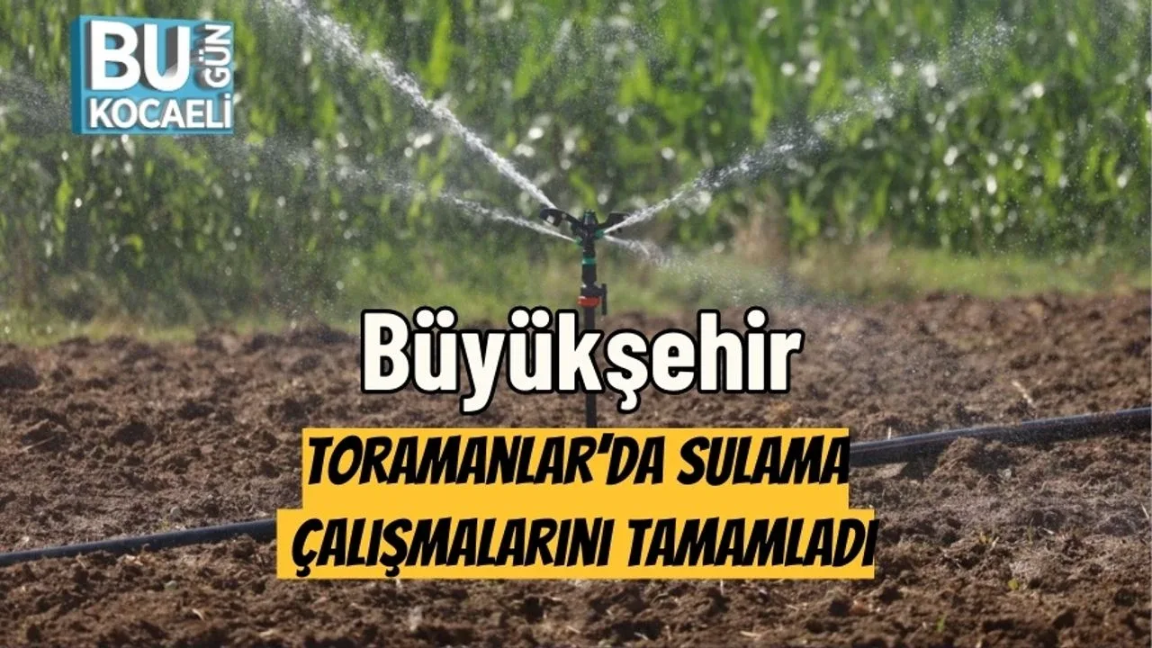 Böyükşəhər Toramanlar'da suvarmanı yekunlaşdırdı
