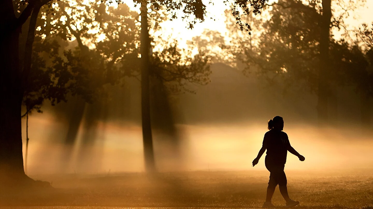 Menopauza simptomları: Hormonsuz alternativlər