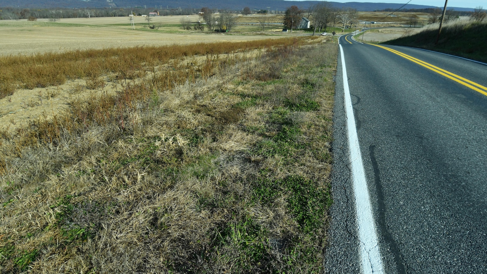 Data mərkəzləri enerji proqnozlarını yüksəldir: Ştatlar tikinti təminatı tələb edir