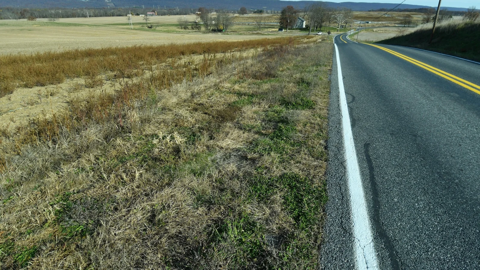 Data mərkəzləri enerji proqnozlarını yüksəldir: Ştatlar tikinti təminatı tələb edir
