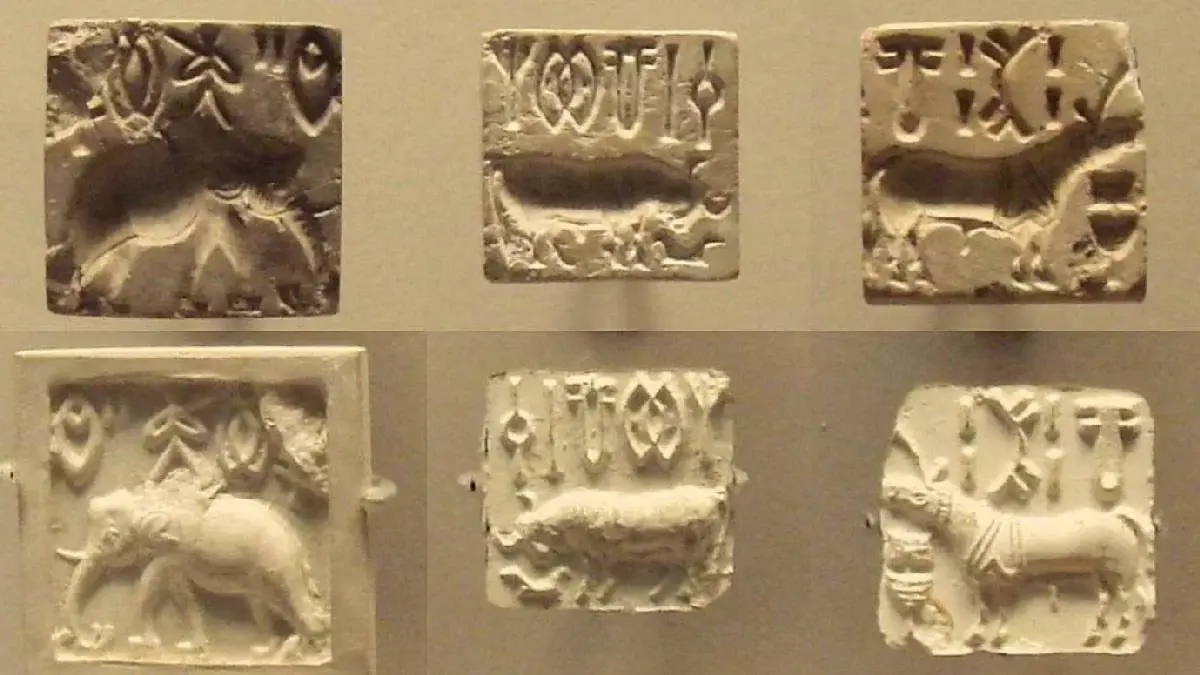 Bu yazını oxuyana 1 milyon dollar