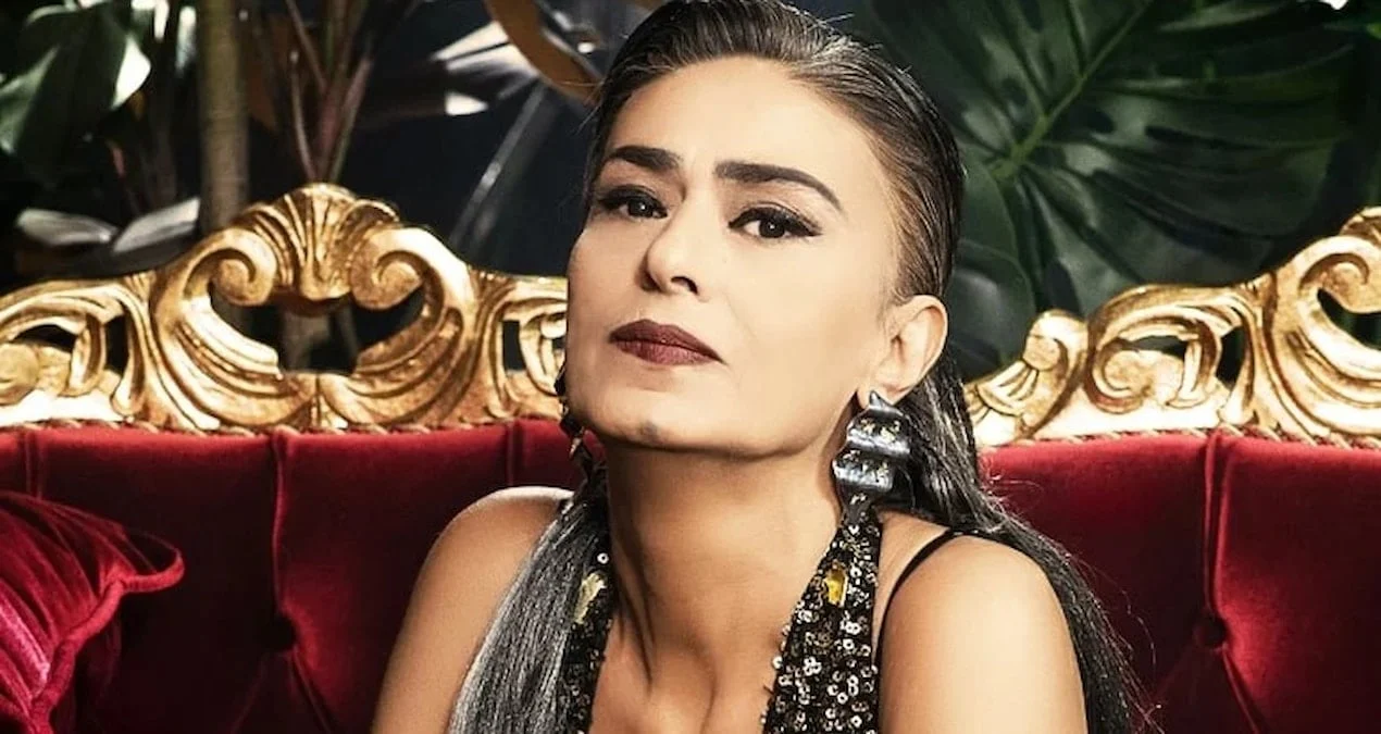 Yıldız Tilbe: "Vətən xaini" ittihamına cavab